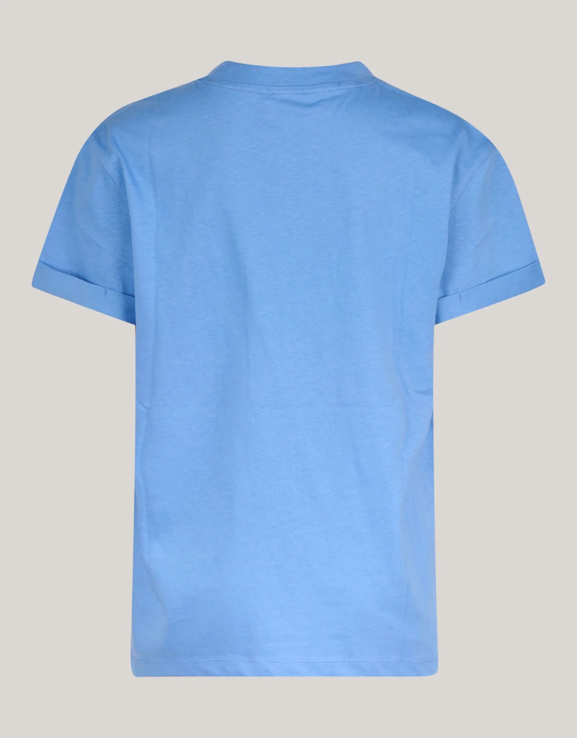 Shoeby Artwork T-shirt Lichtblauw< T-Shirts