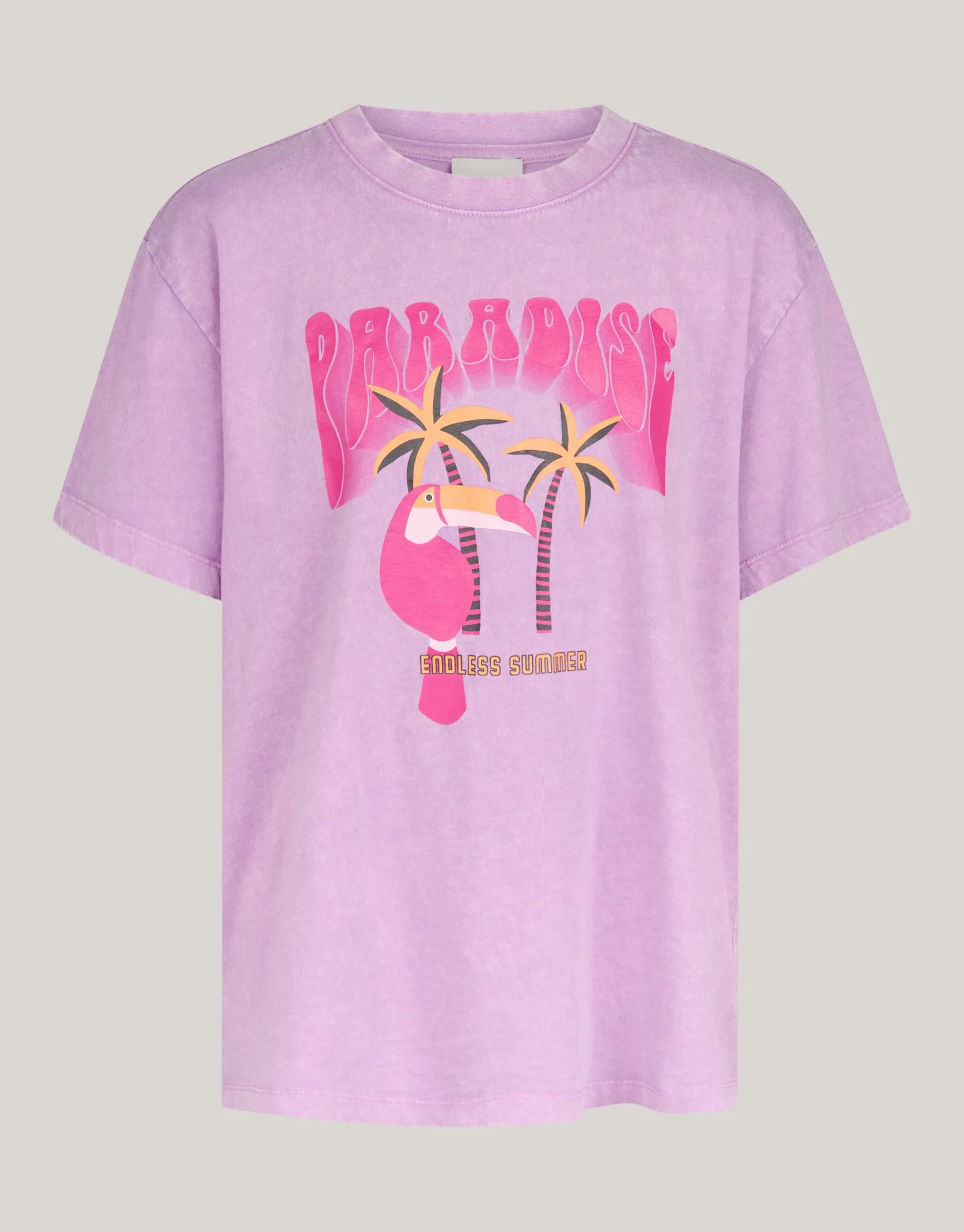 Shoeby Artwork T-shirt Lichtpaars< T-Shirts