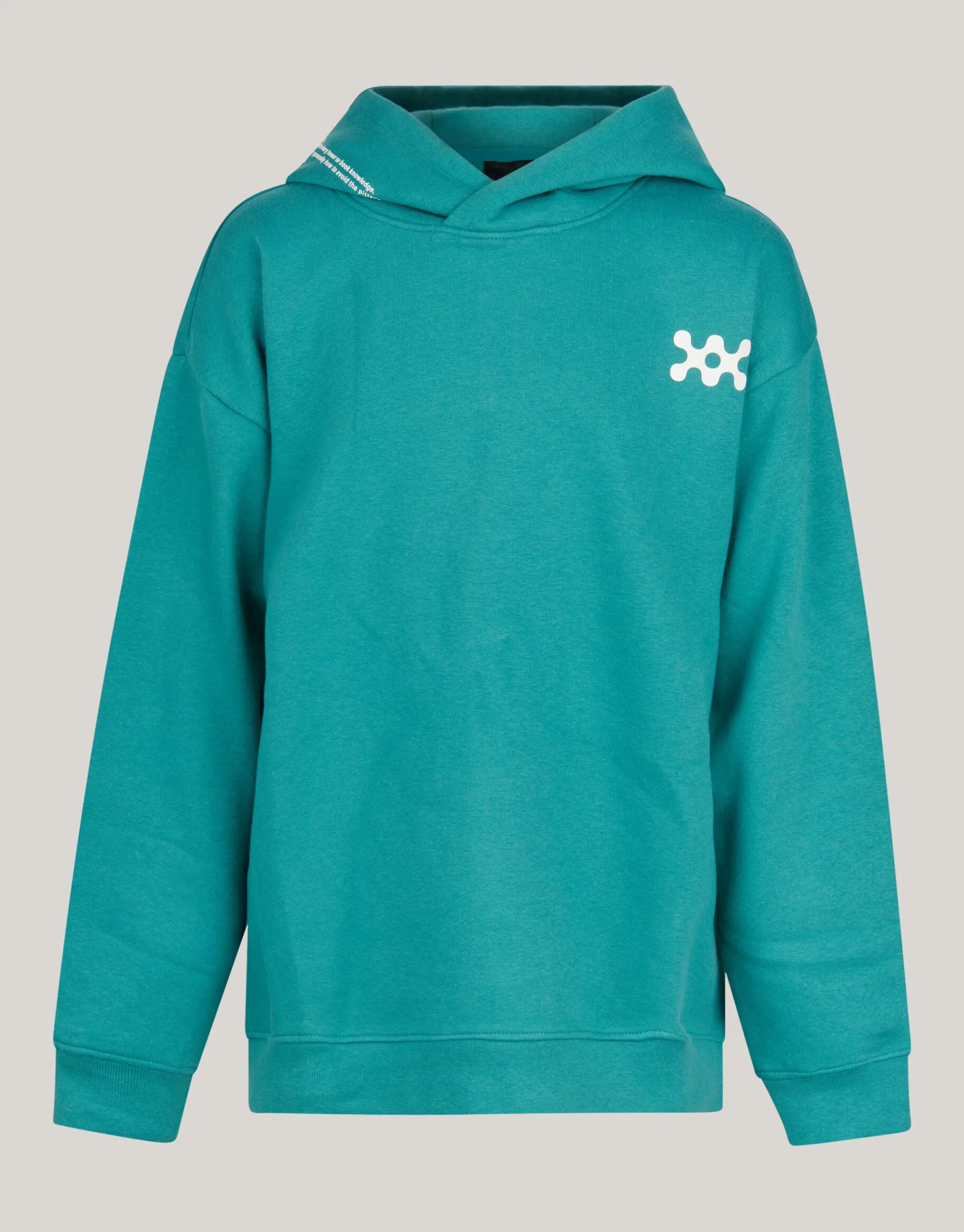 Shoeby Basis Artwork Hoodie Groen< Gebreide Truien|Hoodies
