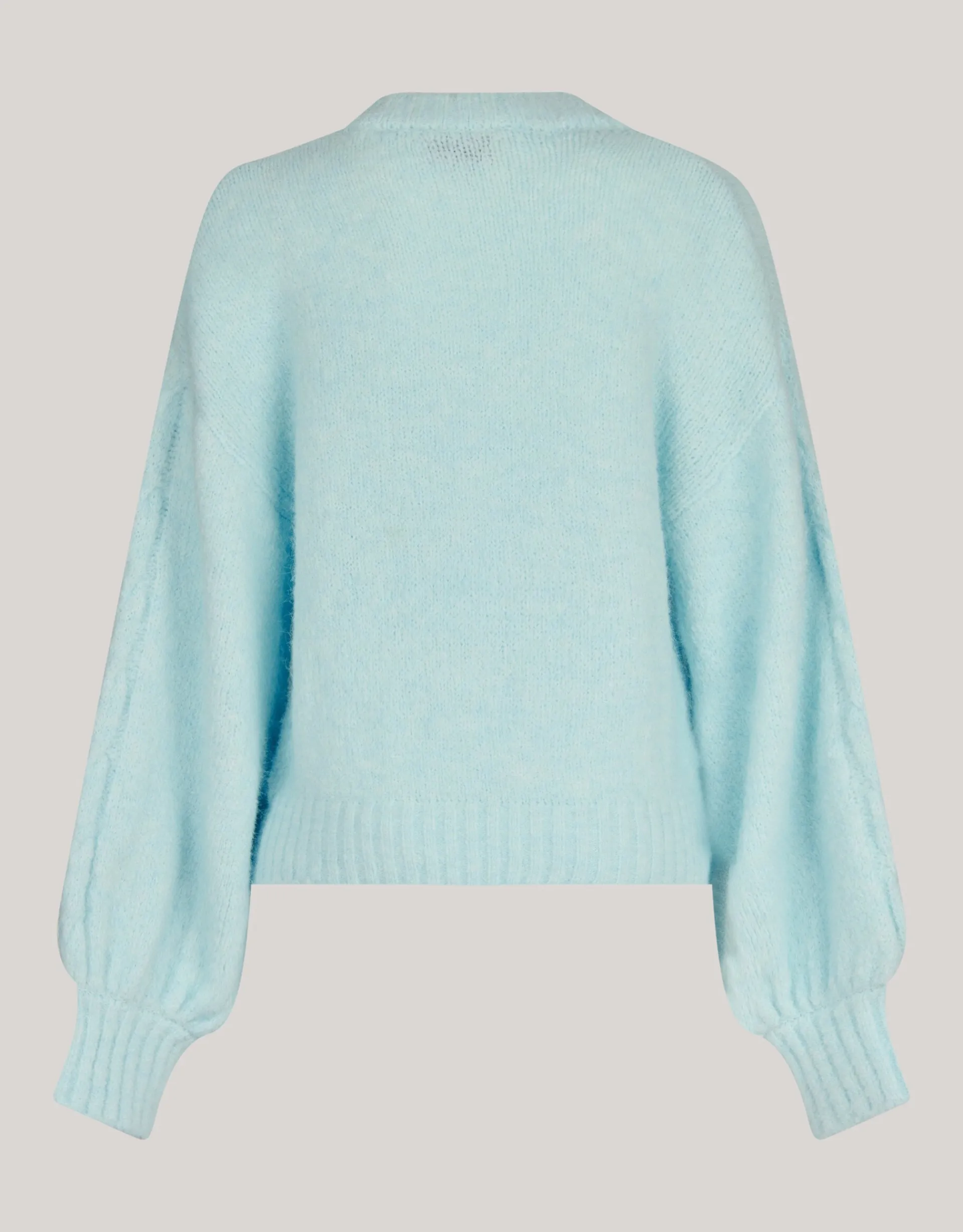 Shoeby Bloem Trui Lichtblauw<DAMES Truien En Sweaters
