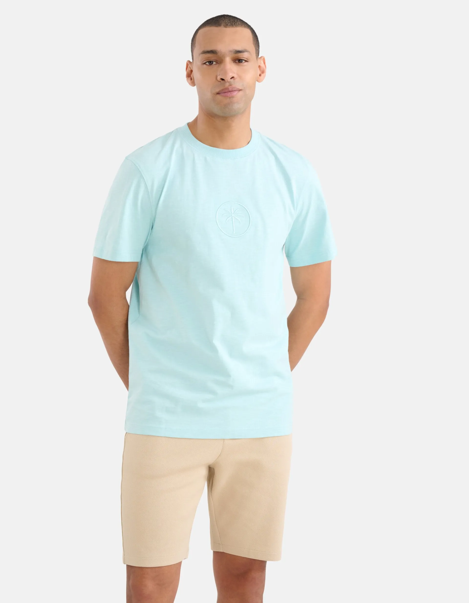 Shoeby Embroidery T-shirt Lichtblauw<Heren T-Shirts En Polo's