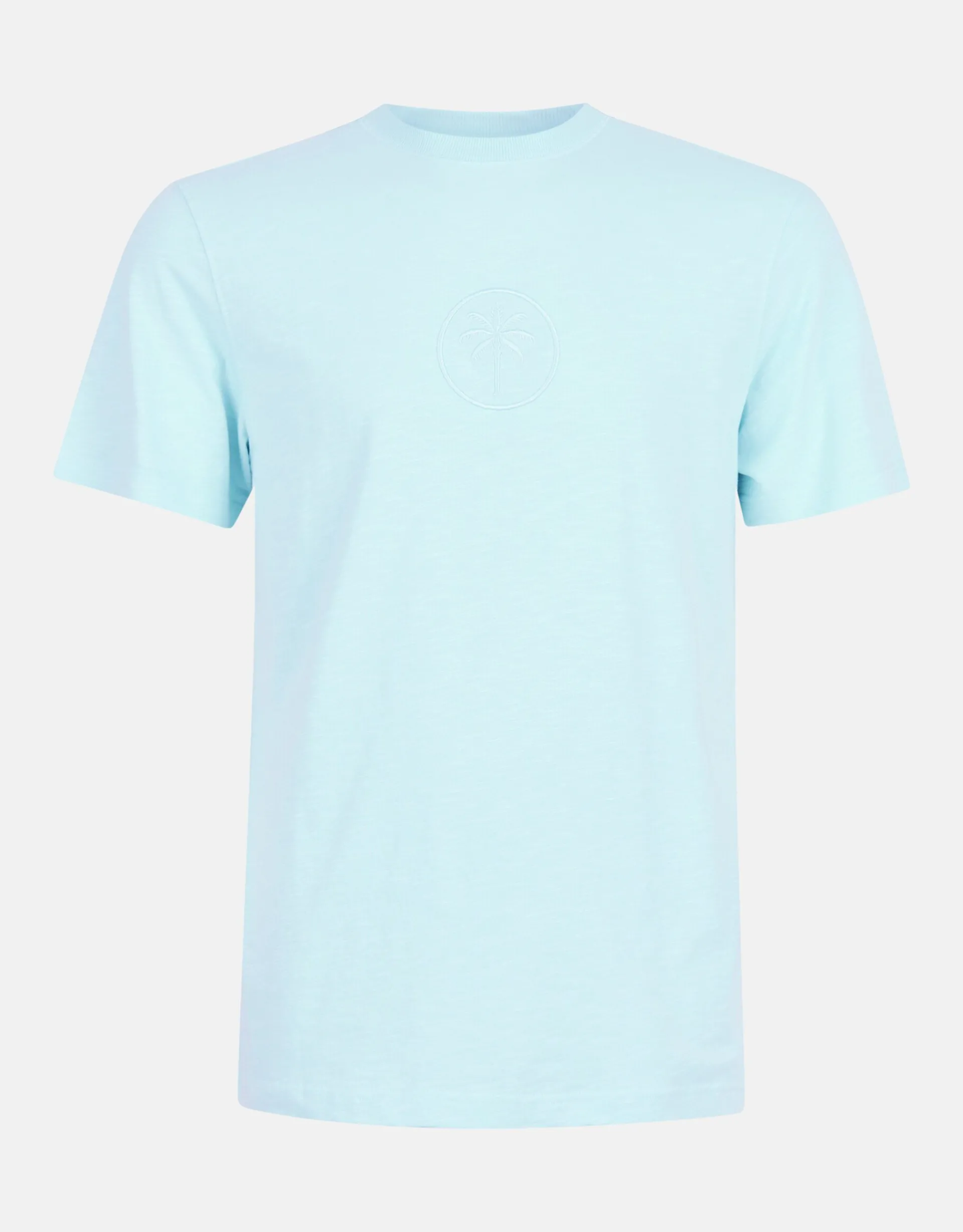 Shoeby Embroidery T-shirt Lichtblauw<Heren T-Shirts En Polo's