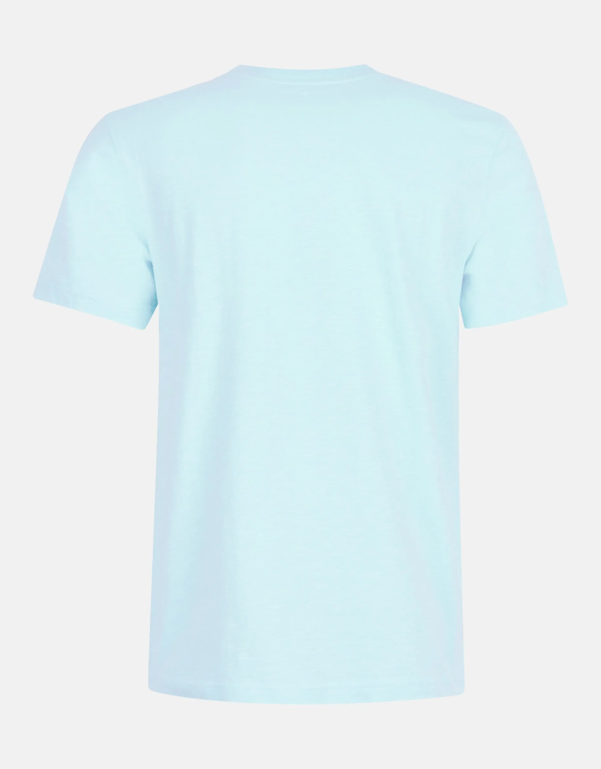 Shoeby Embroidery T-shirt Lichtblauw<Heren T-Shirts En Polo's