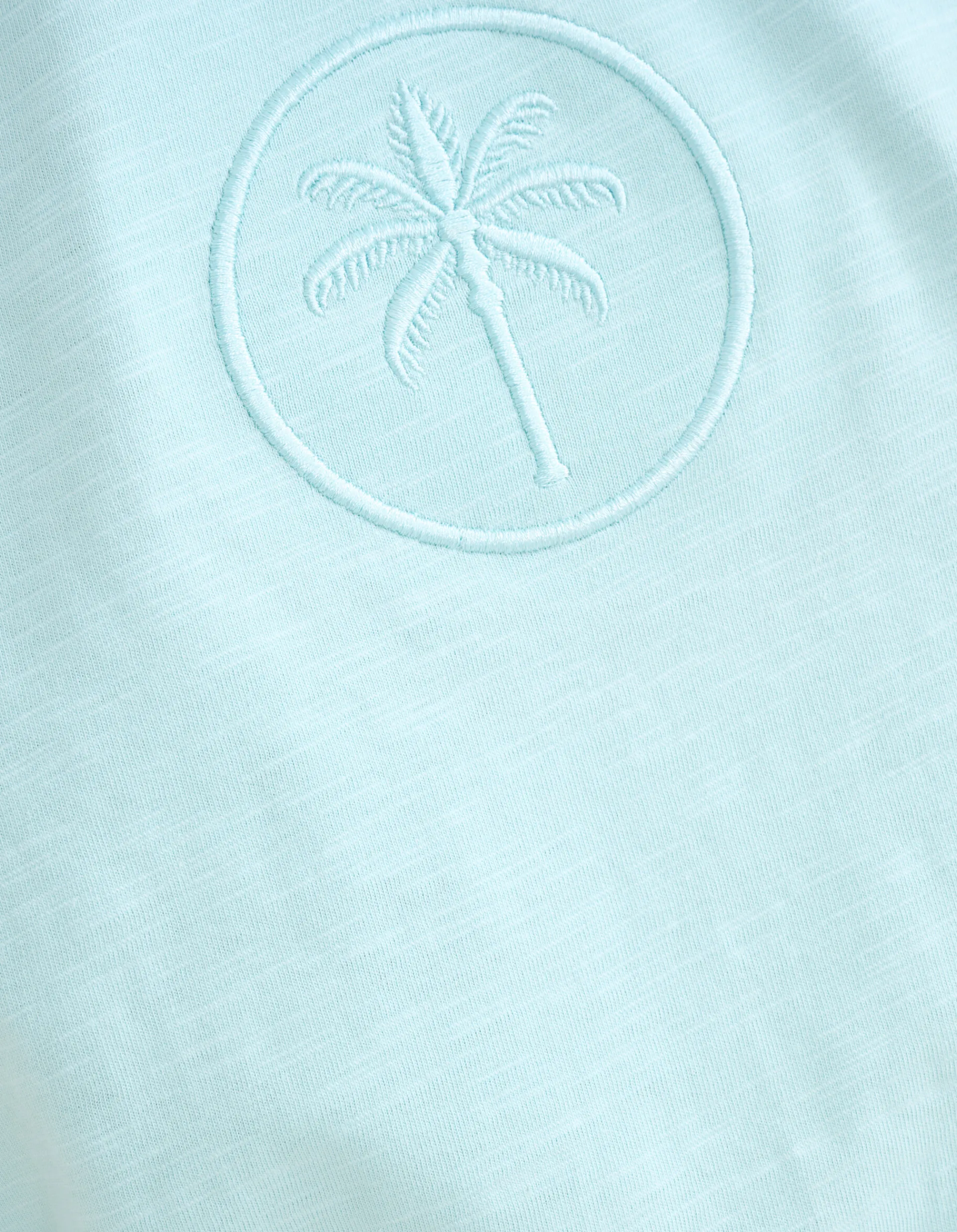 Shoeby Embroidery T-shirt Lichtblauw<Heren T-Shirts En Polo's