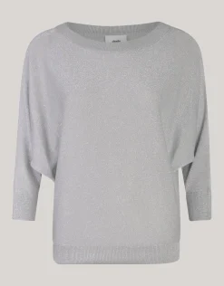 Shoeby Glitter Vleermuismouwen Trui Lichtgrijs<DAMES Truien En Sweaters