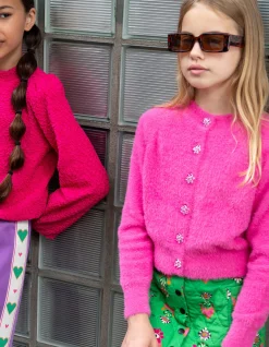 Shoeby Harig Vest Roze By Lizzy< Gebreide Truien