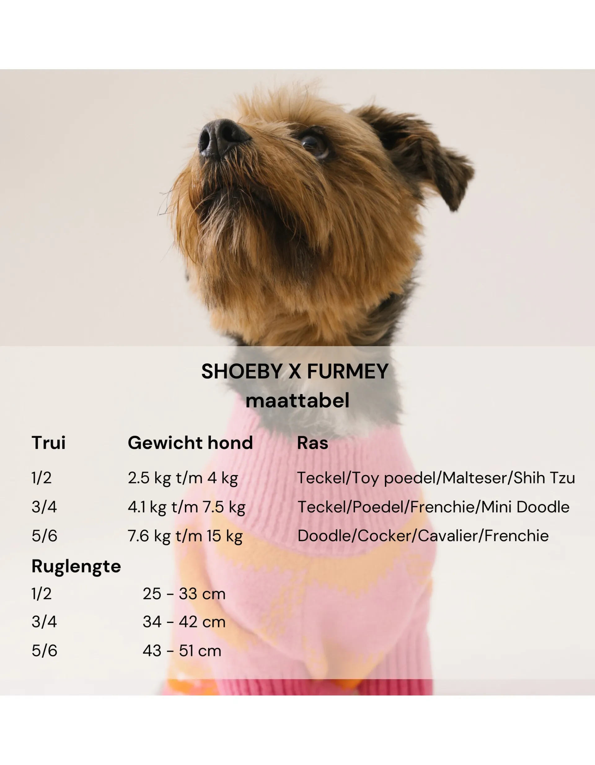 Shoeby Heart Printed Honden Trui Gebroken Wit By Furmey<DAMES Overige Accessoires|Overige Accessoires