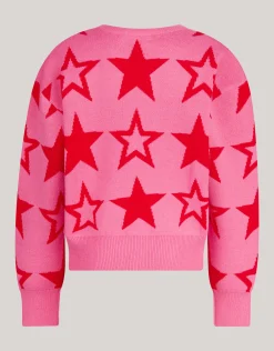 Shoeby Printed Trui Roze< Gebreide Truien