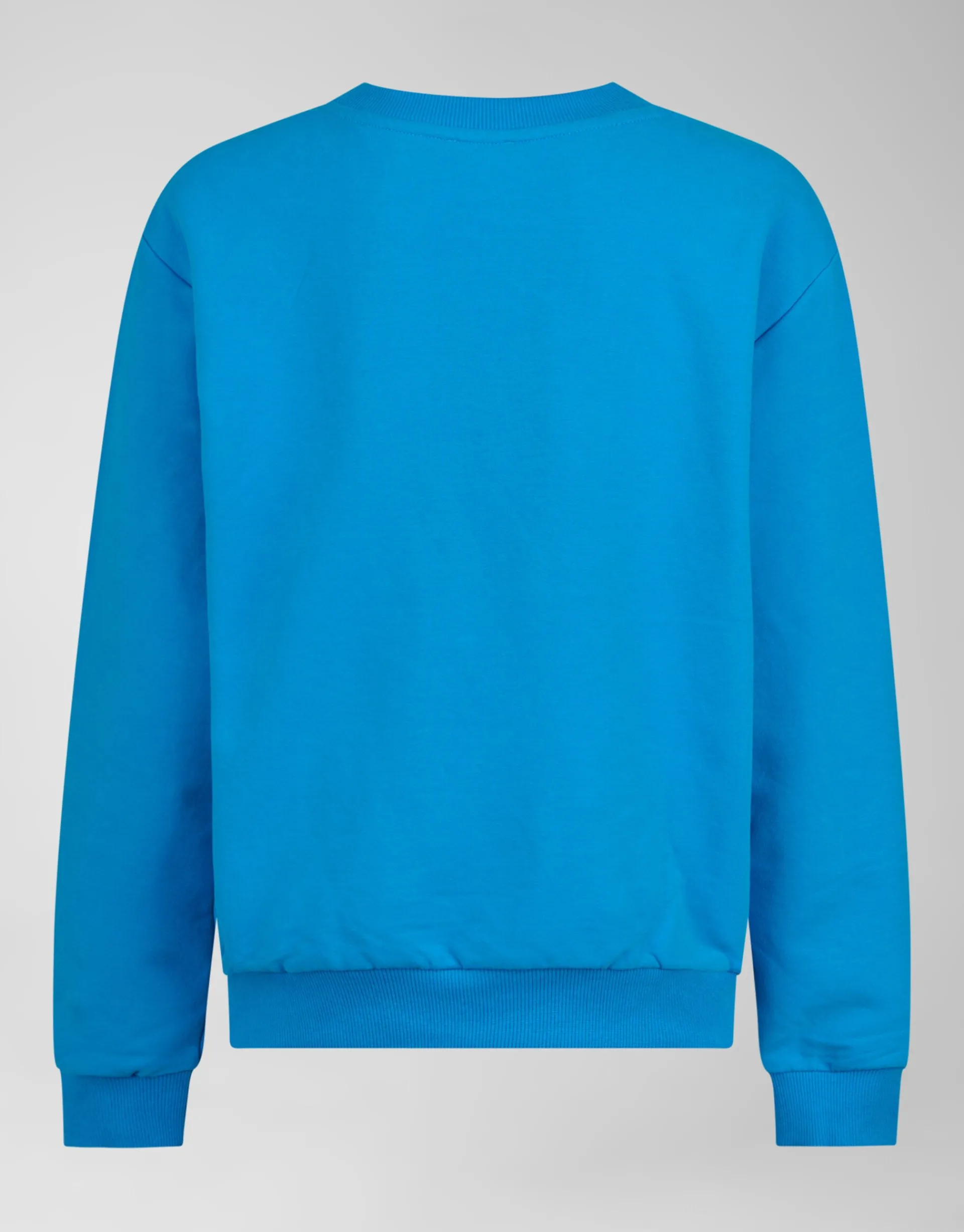 Shoeby Rebel Sweater Blauw< Sweaters En Hoodies