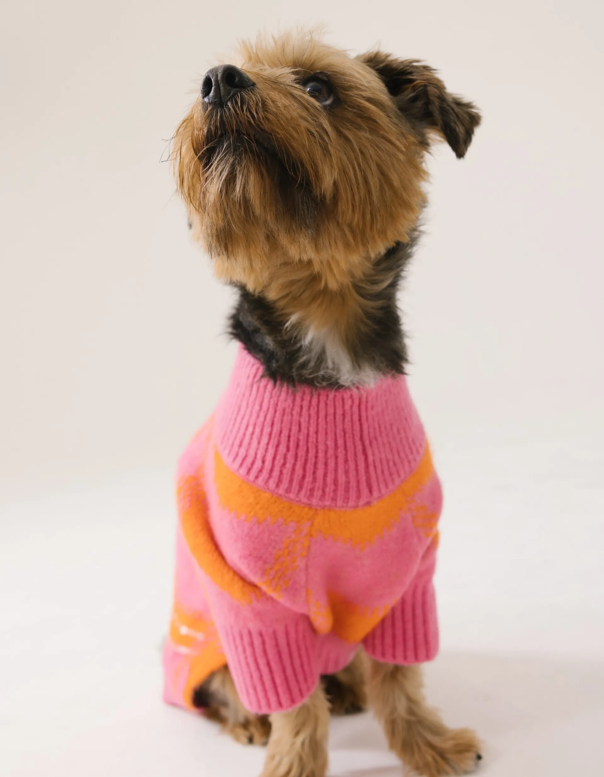 Shoeby Sequin Honden Trui Roze By Furmey<DAMES Overige Accessoires|Overige Accessoires