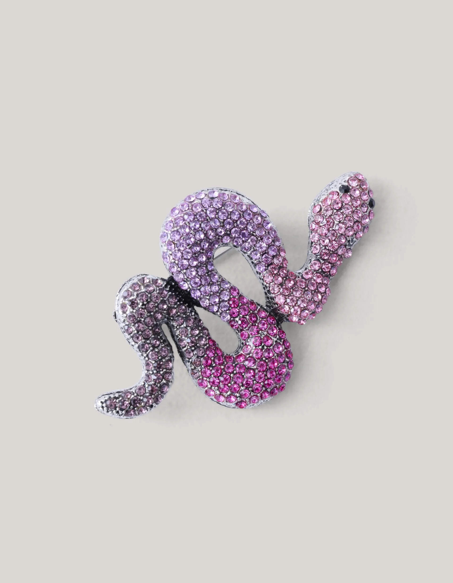 Shoeby Strass Slangen Broche Zilver<DAMES Broches