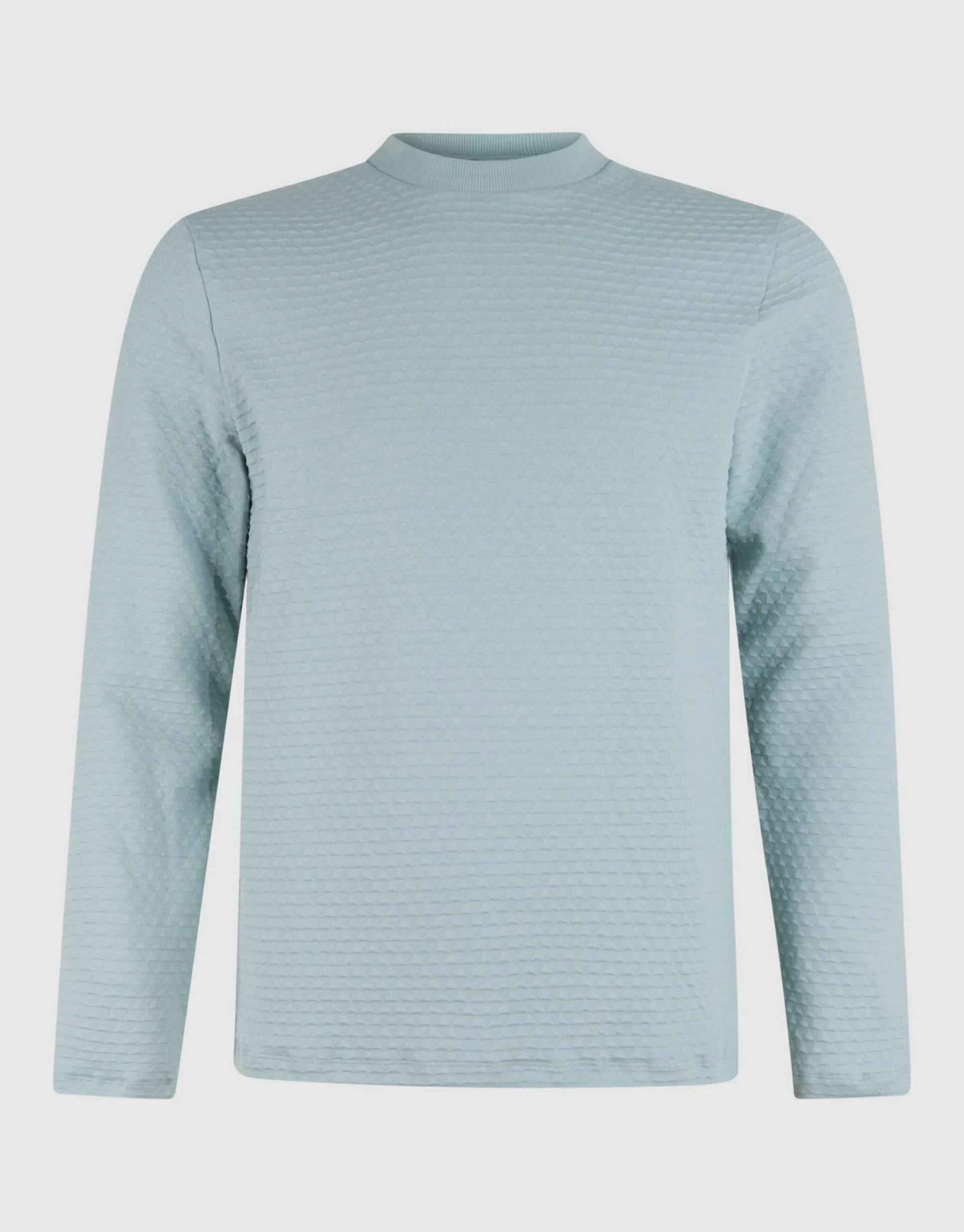 Shoeby Structuur Longsleeve Lichtgroen<Heren T-Shirts En Polo's
