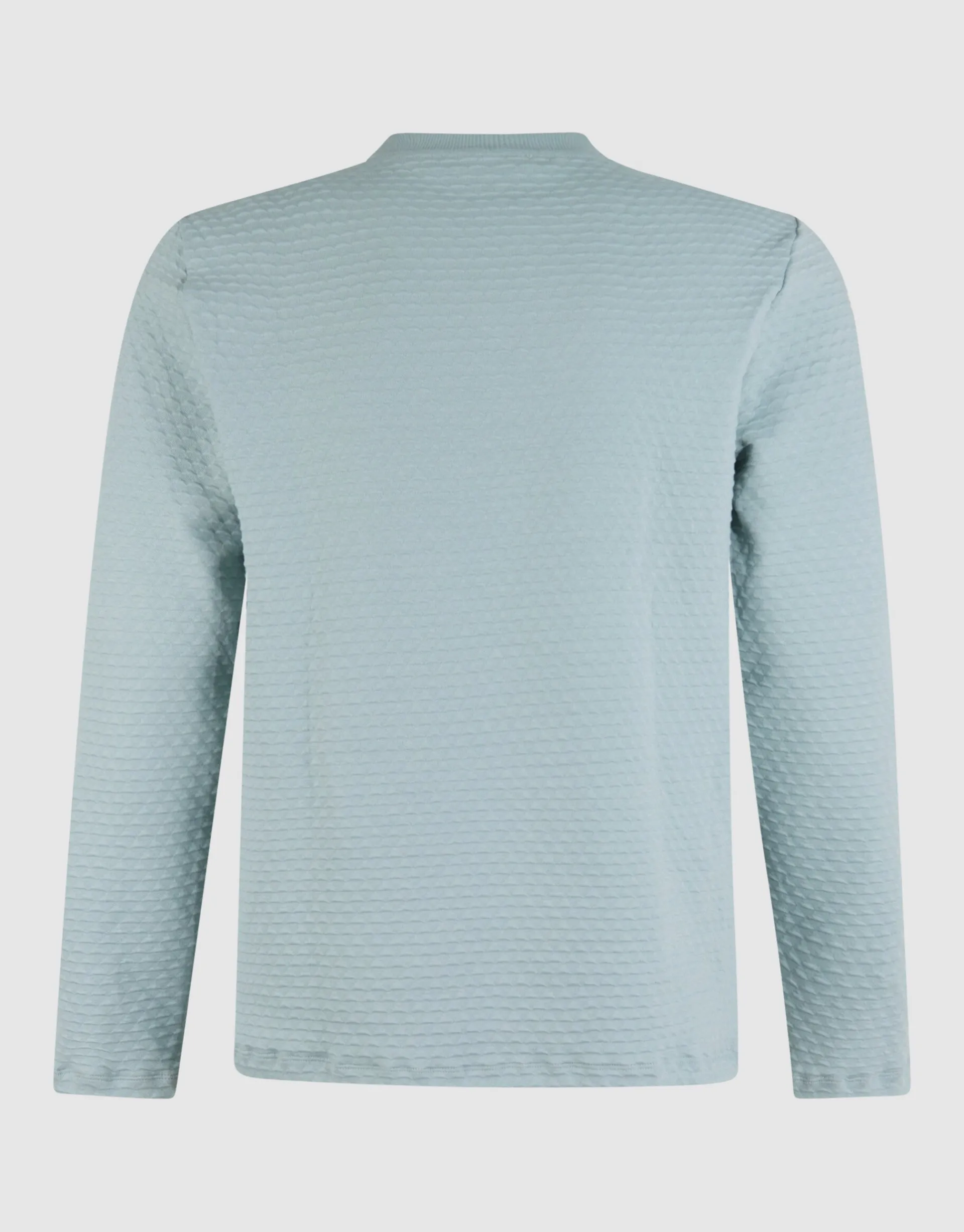 Shoeby Structuur Longsleeve Lichtgroen<Heren T-Shirts En Polo's