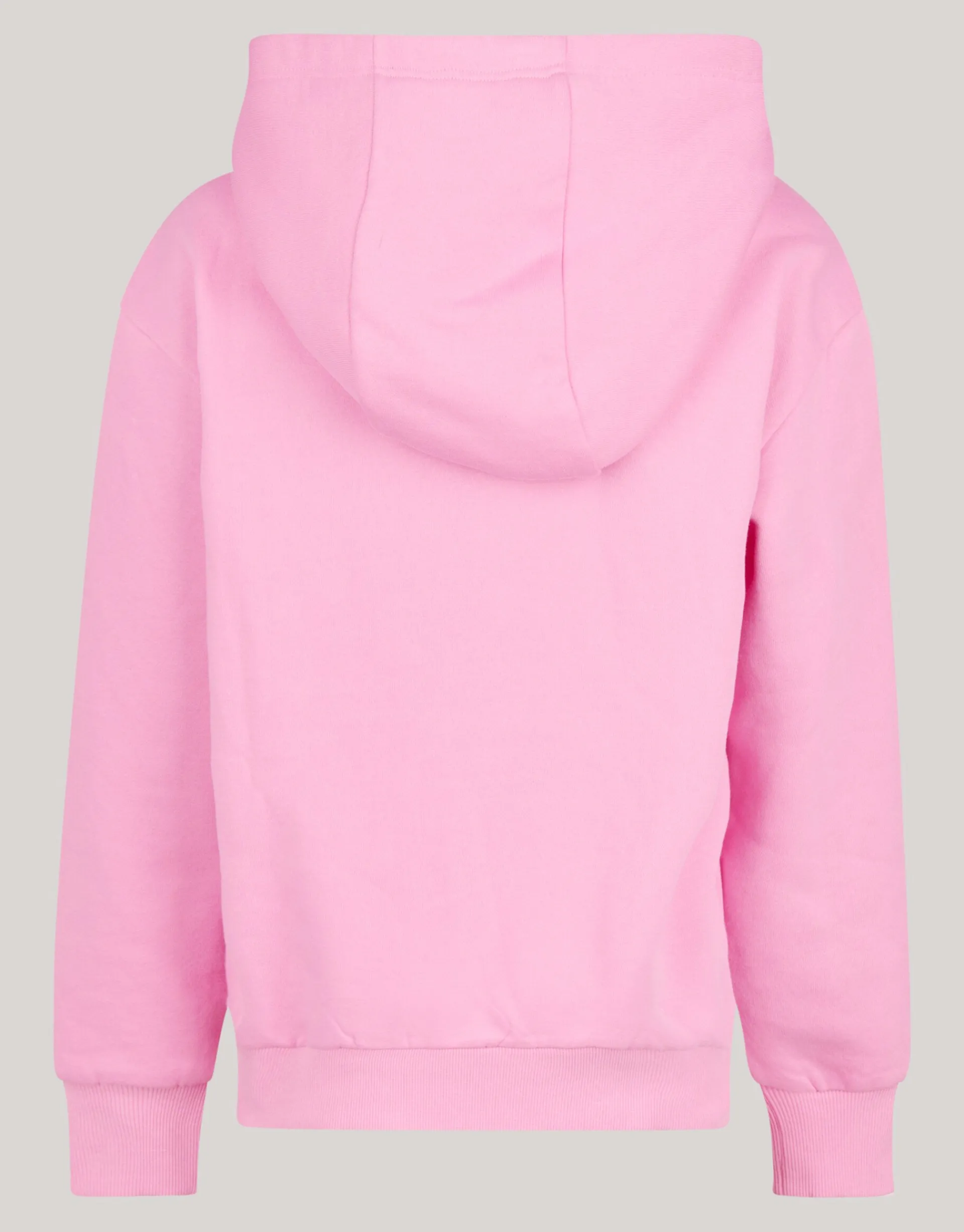 Shoeby Varsity Hoodie Roze< Sweaters En Hoodies