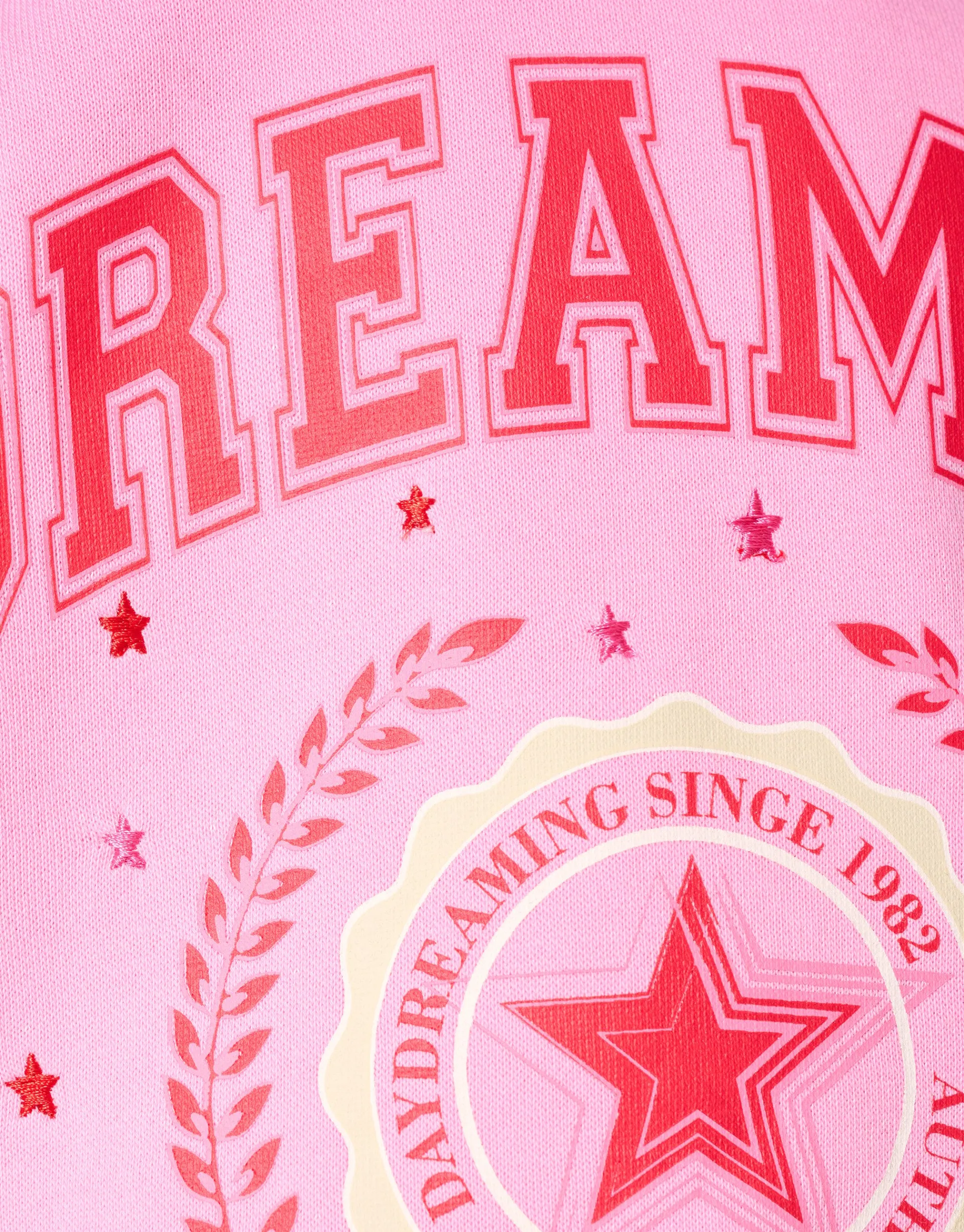 Shoeby Varsity Hoodie Roze< Sweaters En Hoodies