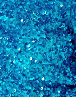 Shoeby Velvet Pailletten Top Blauw<DAMES Tops