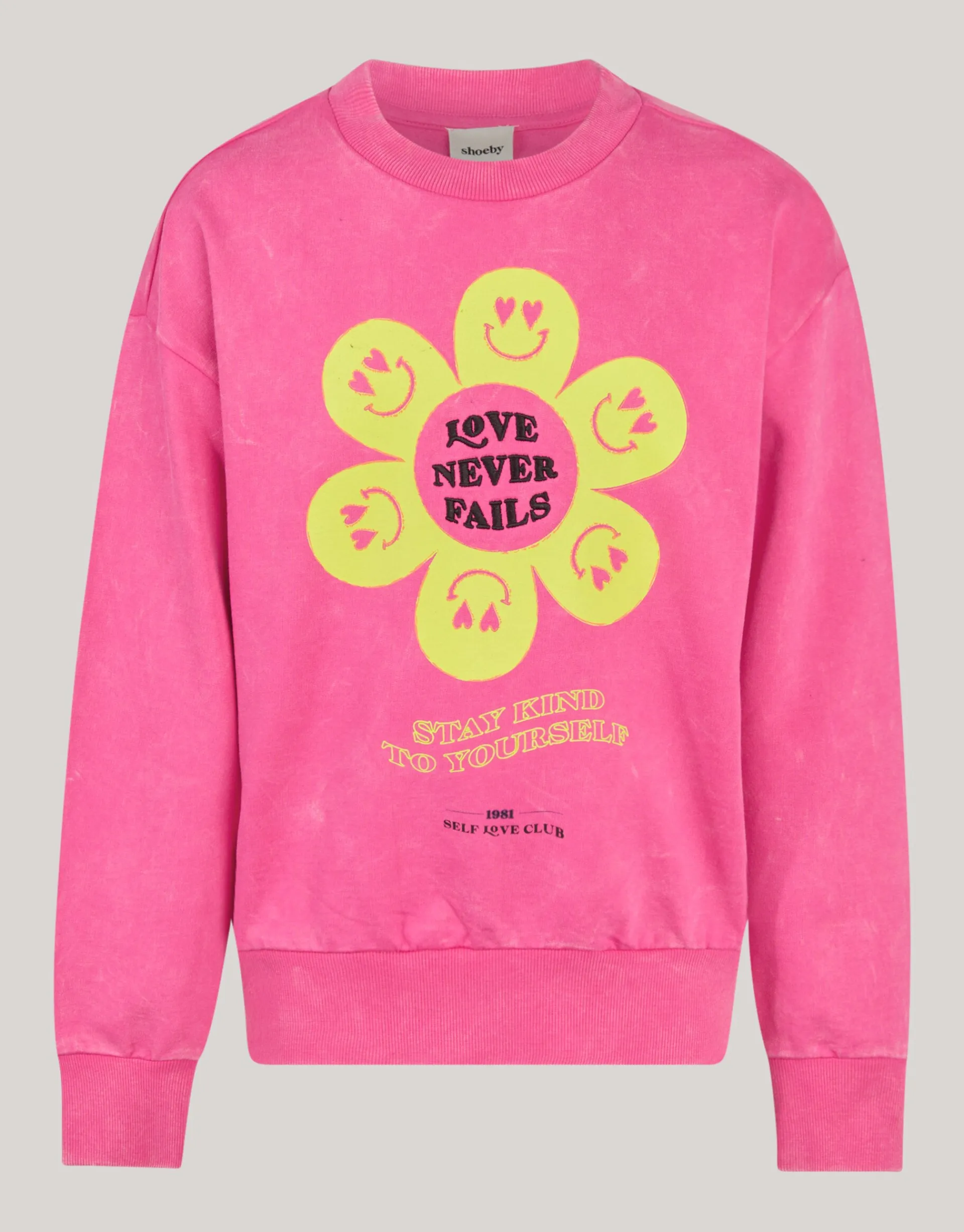 Shoeby Washed Artwork Sweater Roze< Sweaters En Hoodies