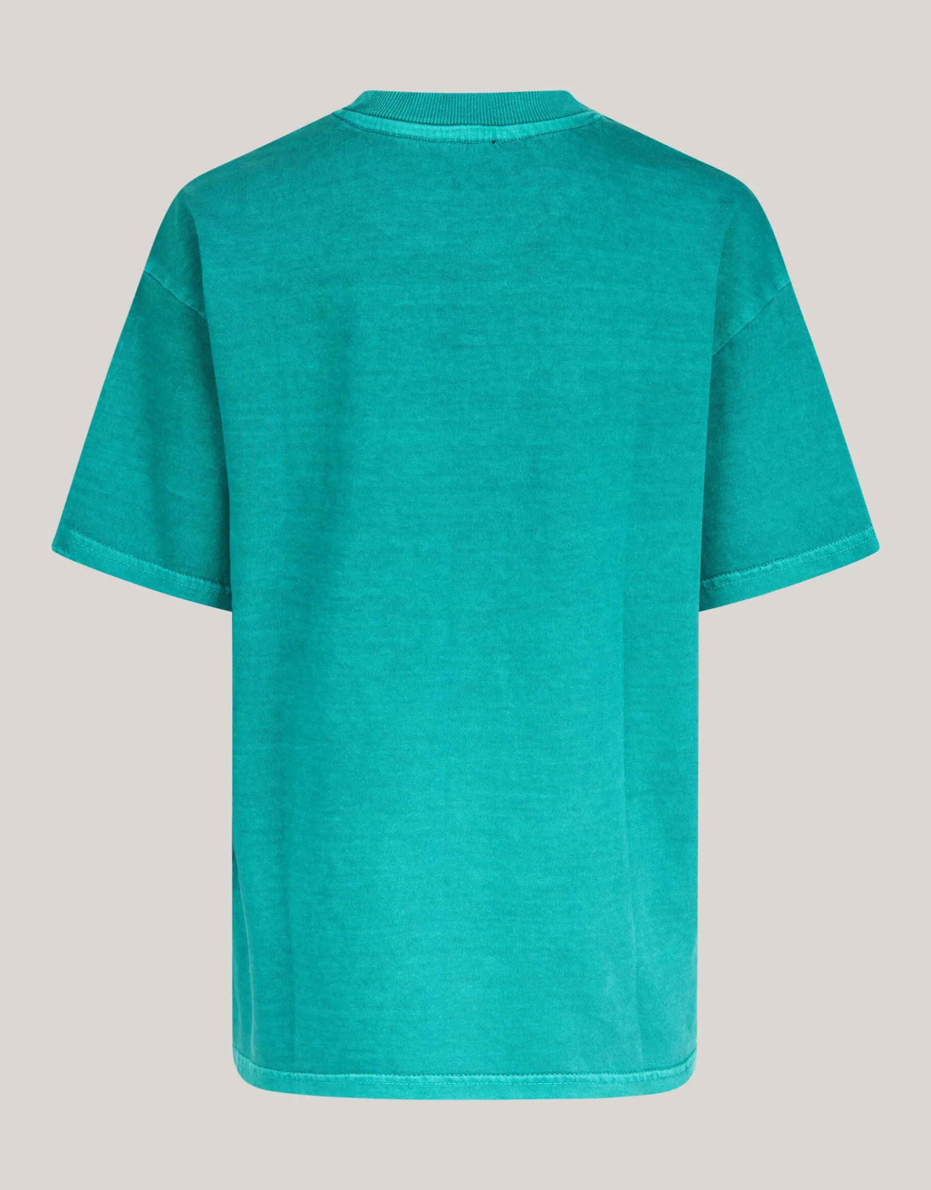 Shoeby Washed Artwork T-shirt Groen< T-Shirts